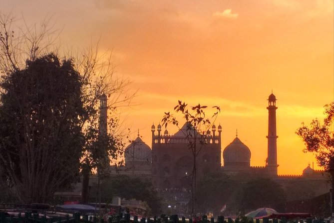 Full Day Old & New Delhi City Tour - Raj Ghat: a quiet pause by the Yamuna