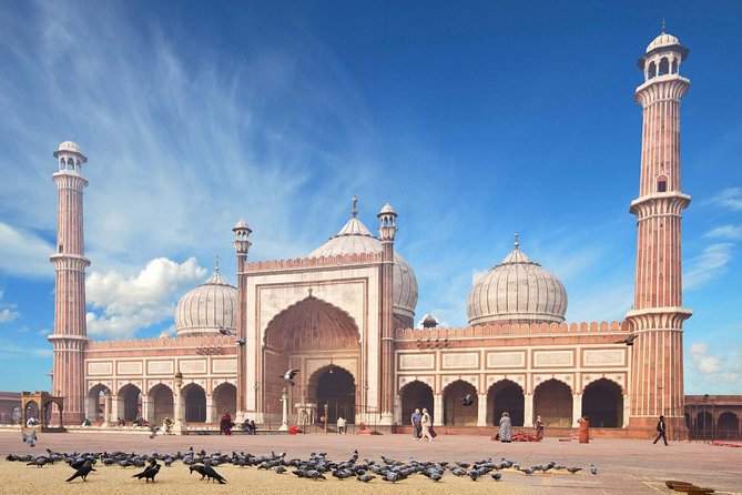 Full Day Private Custom Tour of New Delhi - What you really get for $89: guide, car, and time