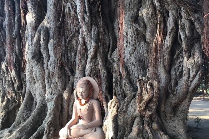 Full-Day Private Guided Bodhgaya Tour with Pick Up - A Smooth, Private Way To See Bodh Gaya’s Biggest Sacred Sites