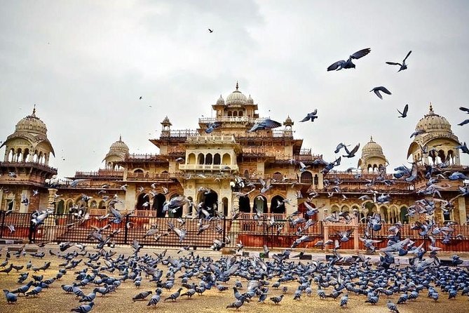 Full-Day Private Tour Heritage of Jaipur with Amber Fort - Morning timing, pickup, and the real-world traffic factor