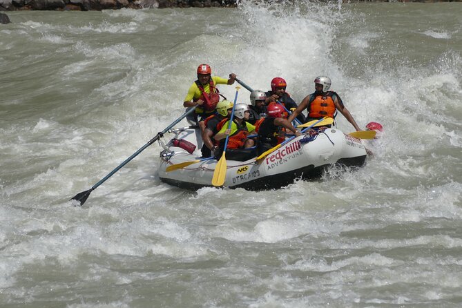 Full Day Rafting in Rishikesh - 35KM - Key highlights you should care about