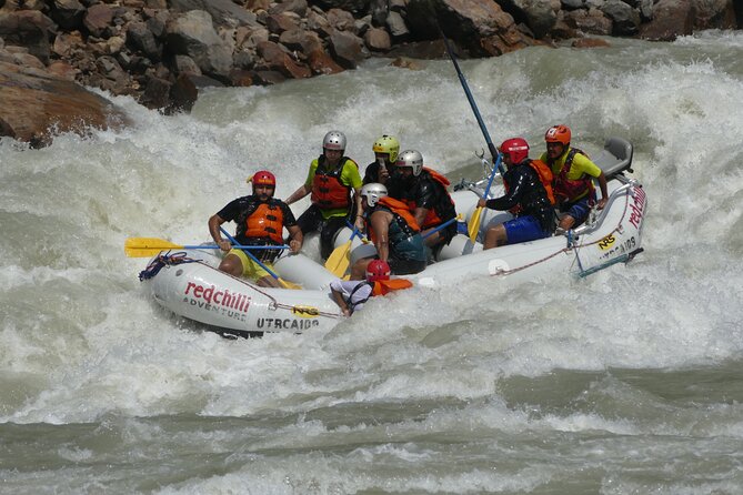 Full Day Rafting in Rishikesh - 35KM - Value check: why the $300 per group can make sense