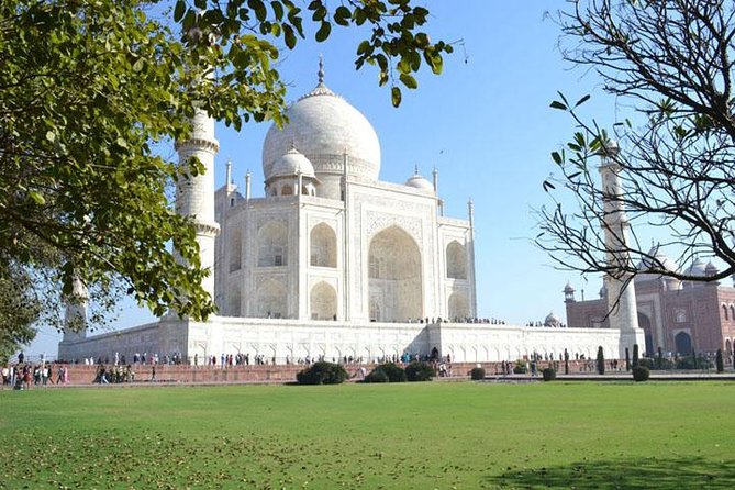 Full Day Taj Mahal and Agra Private Tour from Agra - The car, the guide, and how your day should feel