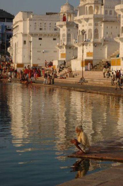 Fullday pushkar tour from jaipur with guid+camel/jeep safari - Camel or jeep safari: optional fun, but confirm the timing