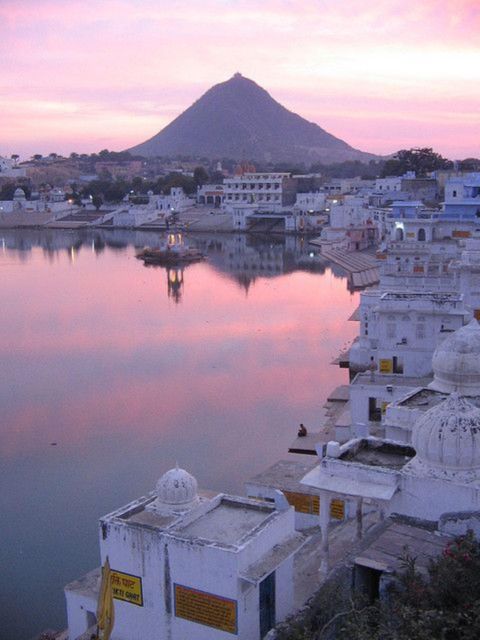 Fullday pushkar tour from jaipur with guid+camel/jeep safari - Price and value: $49 and what it actually buys you