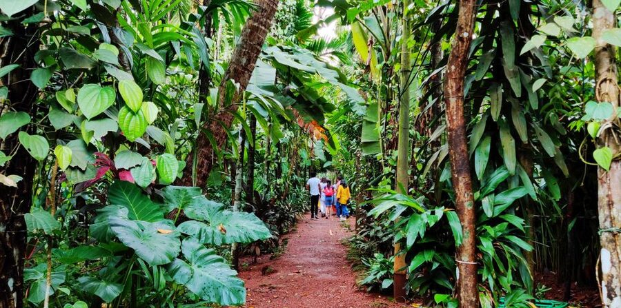 Goa: Private Full-Day Sightseeing Highlights Tour - Spice Plantation Walk: A 30 To 45 Minute Lesson You Can Taste