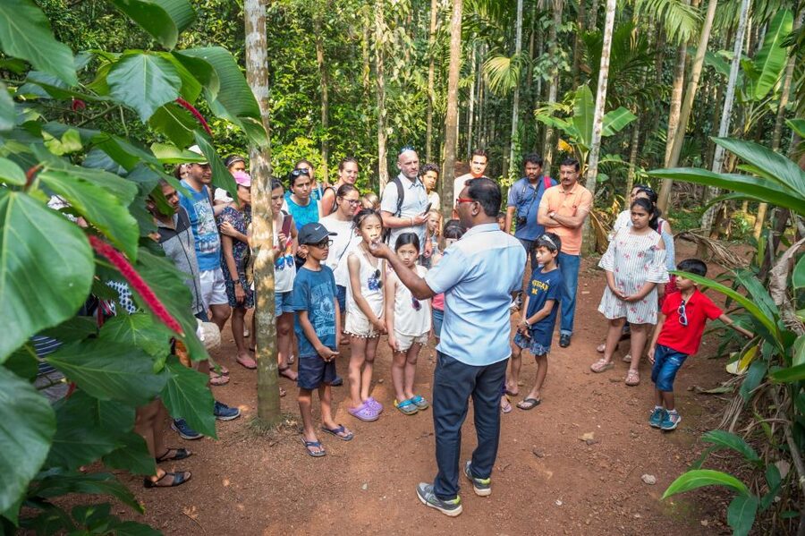 Goa Shore excursions : All inclusive Small Group tour - When the Plan Gets Rearranged: How to Protect Your Priorities