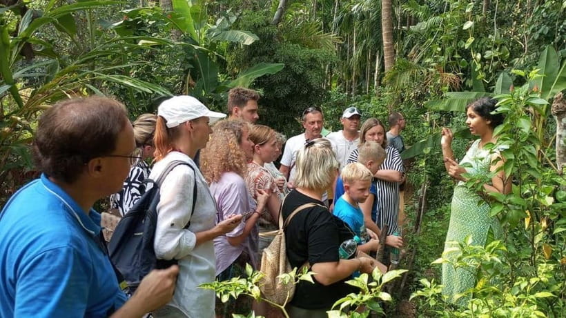 Goa Shore Excursions: Highlights of Goa - Tropical Spice Plantation: the lunch part you should remember