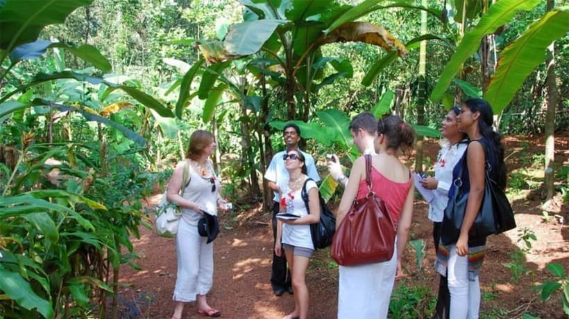Goa Shore Excursions: Highlights of Goa - Guide quality: what makes this tour feel worth it