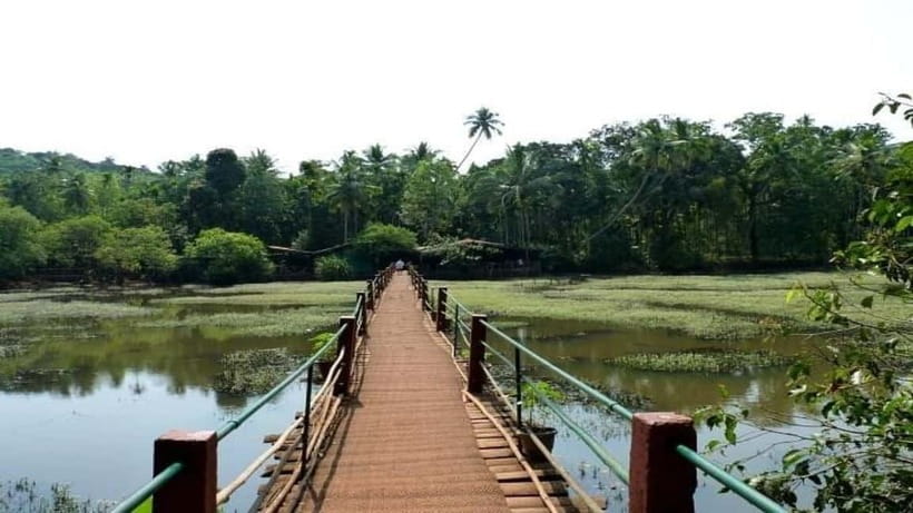Goa Shore Excursions: Highlights of Goa - Who should book this Goa highlights day?