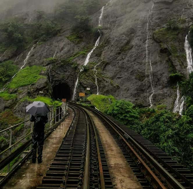 Goa: SIC Dudhsagar Waterfall and Spice Plantation Day Tour - Key Things That Make This Tour Worth Your Time