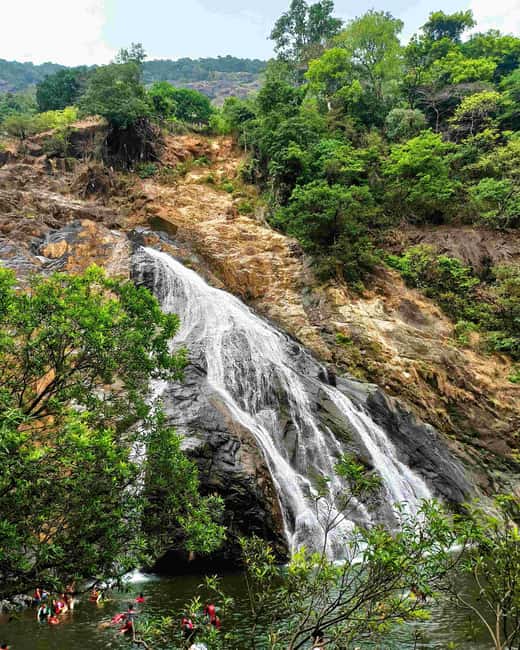 Goa: SIC Dudhsagar Waterfall and Spice Plantation Day Tour - Setting Off From Calangute, Baga, Candolim, or Arpora