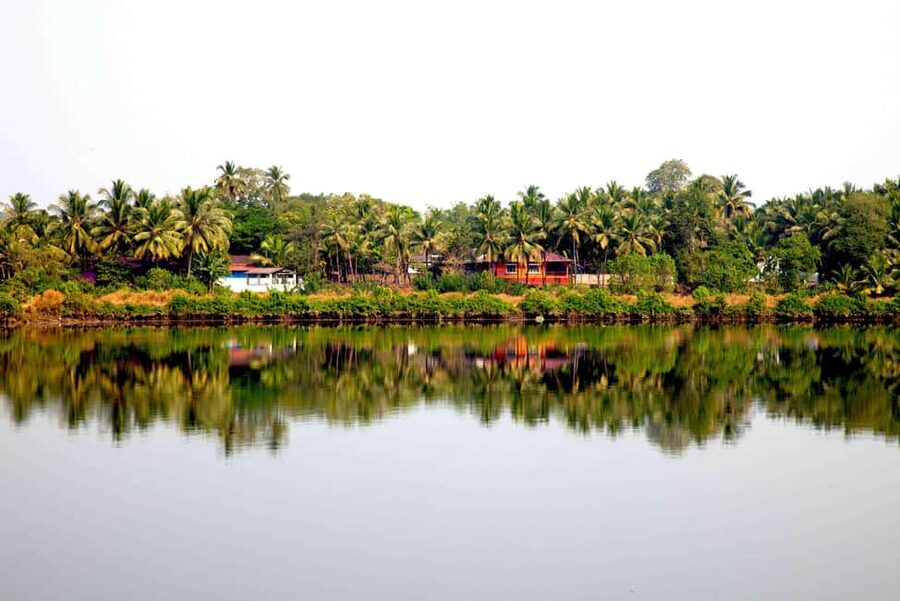 Goa: SIC Dudhsagar Waterfall and Spice Plantation Day Tour - Tropical Spice Plantation Tour: What You Actually Get