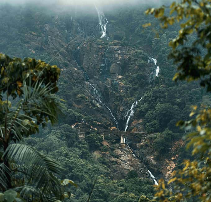 Goa: SIC Dudhsagar Waterfall and Spice Plantation Day Tour - Goan Buffet Lunch: Included, Veg and Non-Veg Options
