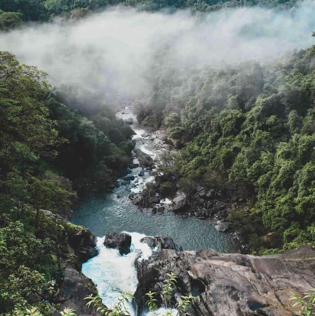 Goa: SIC Dudhsagar Waterfall and Spice Plantation Day Tour - English Explanations and Group Behavior: What to Watch