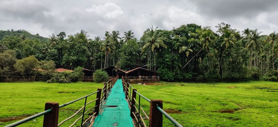 Goa: Spice Plantation Tour and Traditional Local Lunch - Key moments to look for