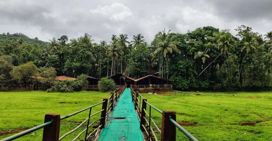 Goa: Spice Plantation Tour and Traditional Local Lunch - The herbal tea welcome and the short guided walk