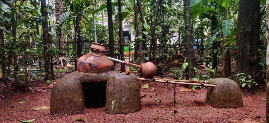 Goa: Spice Plantation Tour and Traditional Local Lunch - Guides you might meet, and how to get more out of the garden