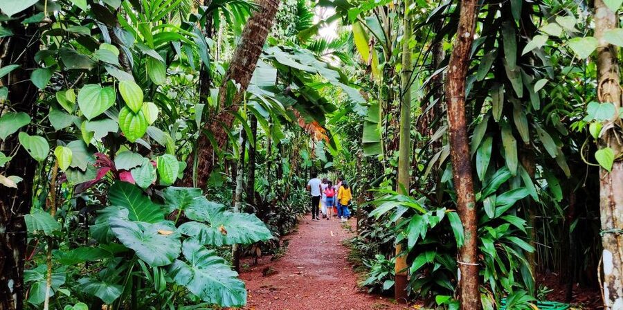 Goa: Spice Plantation Tour and Traditional Local Lunch - Temple and spice shop time, and how it affects your minutes