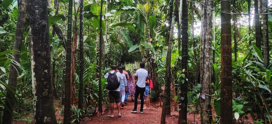 Goa: Spice Plantation Tour and Traditional Local Lunch - Who this tour suits best, and who might skip it