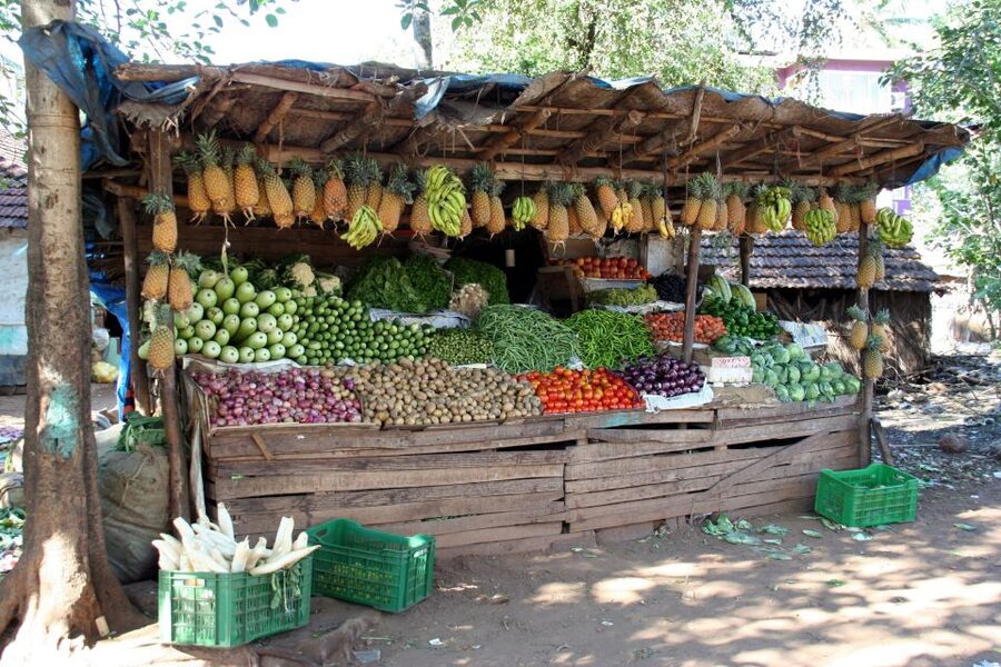 Goa Street Food Crawl: Authentic Food Tasting Experience - Pacing, weather, and comfort tips for a smooth 2 hours