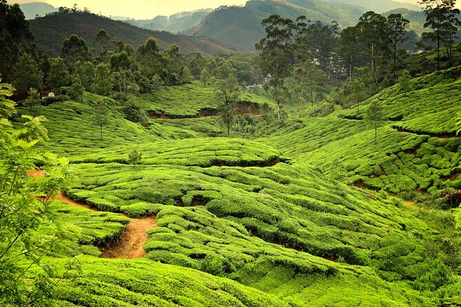 God's Own Country - KERALA (8 Days private trip) - Alleppey backwaters village tour: seeing Kerala by the waterline