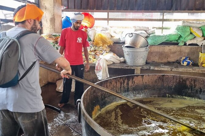 Golden Temple and Jallianwala Bagh Guided Tour - Stop 4: Dukh Bhanjani Ber Tree and the belief around Amrit Sarovar