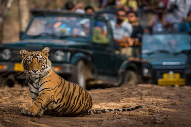 Golden Triangle & Ranthambore: 4-Day Private Tour from Delhi - Key things to know before you go
