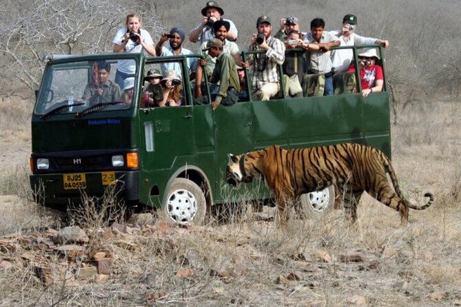 Golden Triangle & Ranthambore: 4-Day Private Tour from Delhi - Jaipur forts and monuments: Jaigarh Fort, Jal Mahal, City Palace, Jantar Mantar, Hawa Mahal