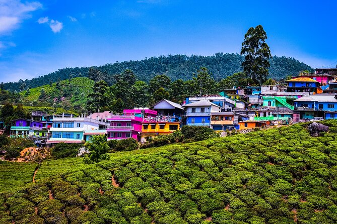 Green Magic Day Tour to Munnar - Price and Value: What $106.24 Buys You