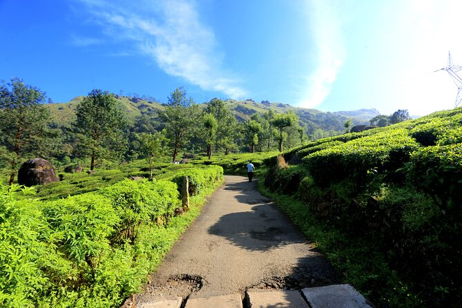 Green Magic Day Tour to Munnar - Waterfalls First, With Free Admission Stops