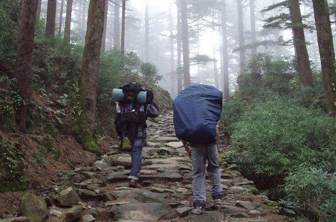 Guided Day Hike to Guna Devi Temple from Mcleodganj - Who this hike suits best, and who should reconsider