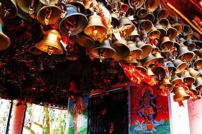 Guided Day Hike to Guna Devi Temple from Mcleodganj - Should you book the Guna Devi guided hike from McLeodganj?