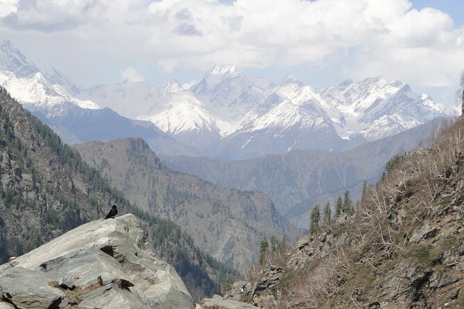Guided Day Hike to Guna Devi Temple from Mcleodganj - Dharamkot and Bahl Village stops, where the trail slows down