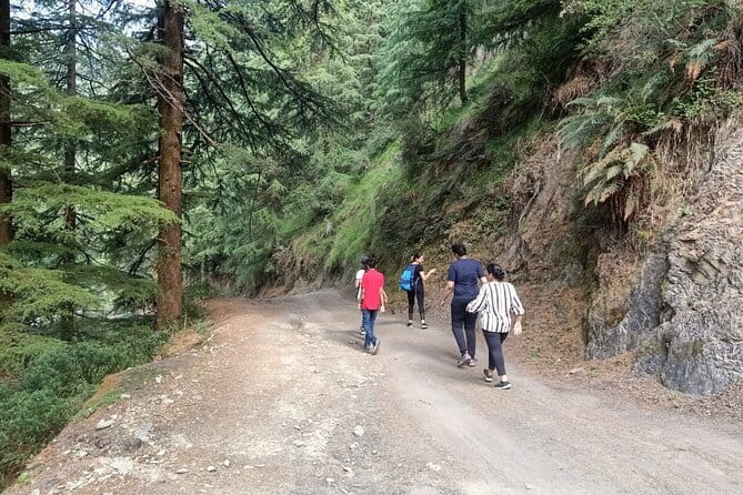 Guided Kora Circuit & Walking Tour Around McLeod Ganj - Price and value: is $31 worth it for a 2 to 3 hour walk?