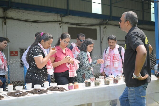 Guwahati Tea Garden tour @ Amchong - A Quick Assam Tea Break From Guwahati