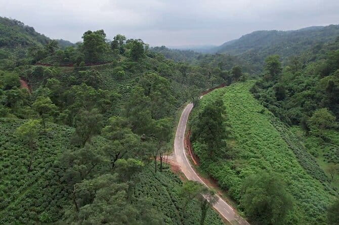 Guwahati Tea Garden tour @ Amchong - Bhuaram Jodhraj Factory Stop and Orthodox vs CTC Tea