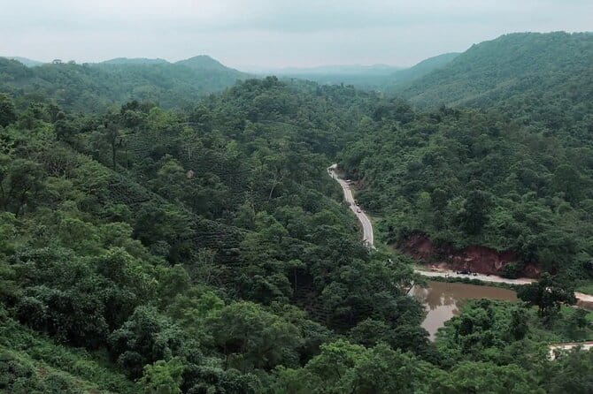 Guwahati Tea Garden tour @ Amchong - Who This Tour Fits Best in Your Assam Plan