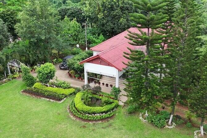 Guwahati Tea Garden tour @ Amchong - Amchong Tea Estate: Nursery, Tea Plucking, and Tasting