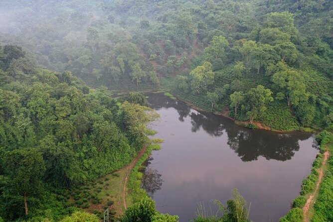 Guwahati Tea Garden Tour with Lunch & Hi Tea (Premium Experience) - The 4x4 ride and the estate walk, from nurseries to plucking