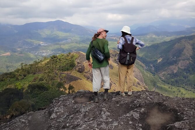 Half Day Hiking in Munnar Trekking Tour - The route: rolling estates plus forest trails in 4-5 hours