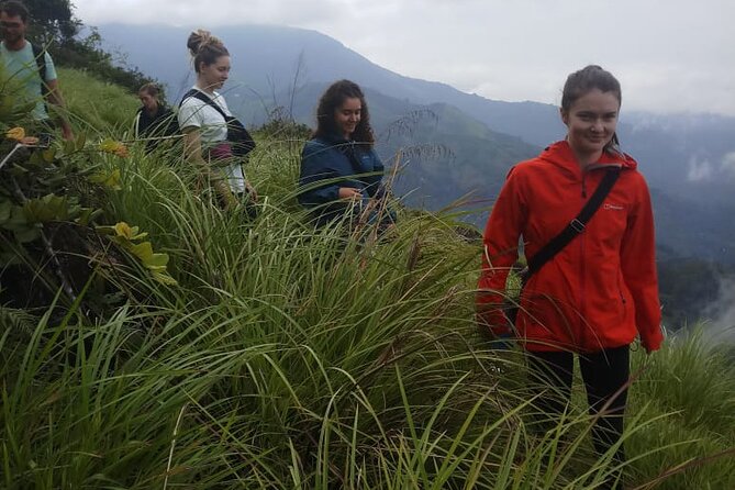 Half Day Hiking in Munnar Trekking Tour - Meeting points on MG Rd and a clean end at KSRTC Depot
