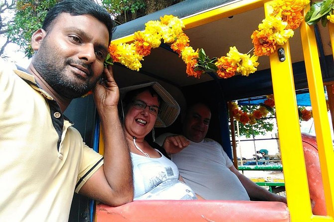 Half-Day Private Tuk Tuk Tour in Fort Kochi - Santa Cruz Cathedral Basilica: a big, impressive church stop