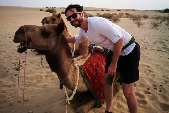 Half-Day Sunset Camel Safari in Rajasthan - Key Highlights Worth Booking