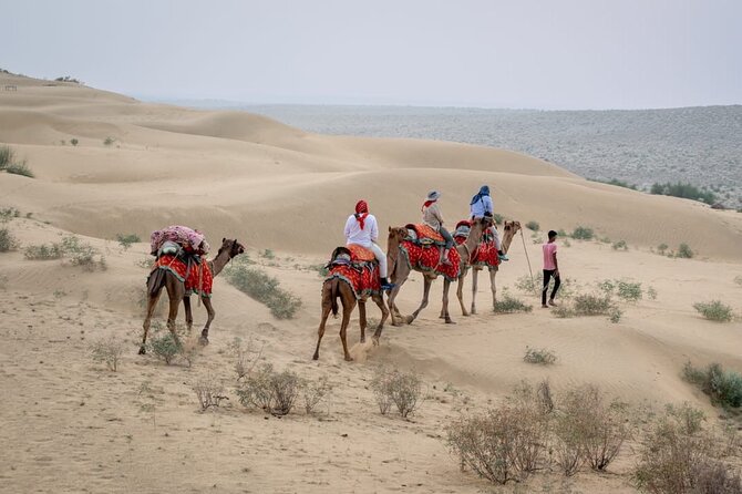 Half Day Sunset Camel Safari Jaisalmer - Key highlights worth booking for