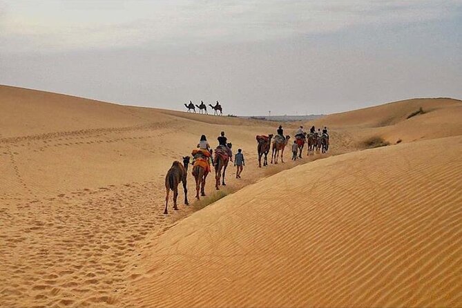 Half Day Sunset Camel Safari Jaisalmer - A quiet route into the Thar Desert, not a cookie-cutter ride