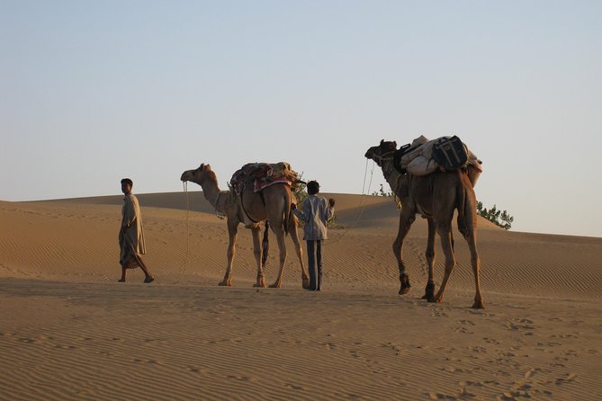Half-Day Sunset Desert Safari - The Route Into the Thar Desert: Village Stop, Wildlife, and Isolated Dunes