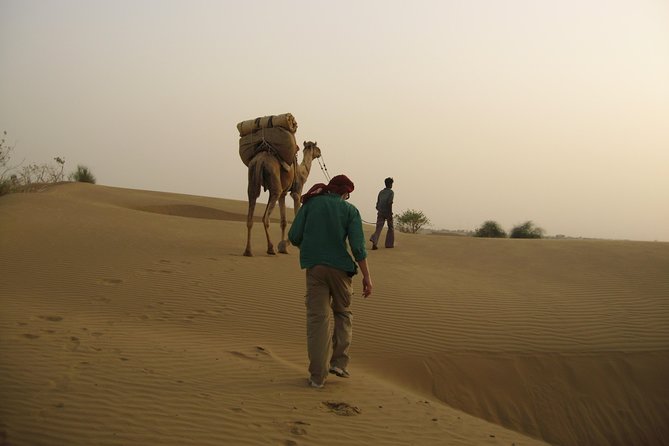 Half-Day Sunset tour with cultural program - Key things you’ll notice on this sunset camel and cultural program