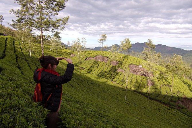 Half day trekking (munnar valley Trekking & Tours ) - Terrain Tips for Windy or Rainy Days on the Hike