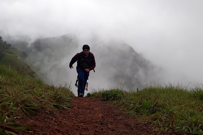 half day trekking - The route: 8 km of tea fields, grasslands, and 1700-meter views